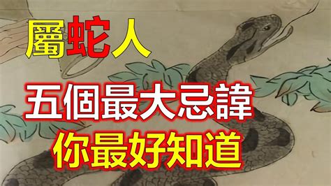 屬蛇的禁忌|你不可不知的五大禁忌 